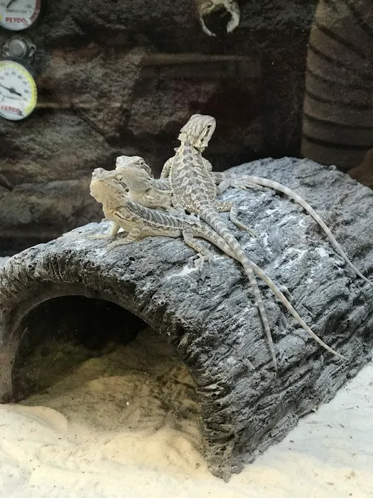 Petco Picture 3