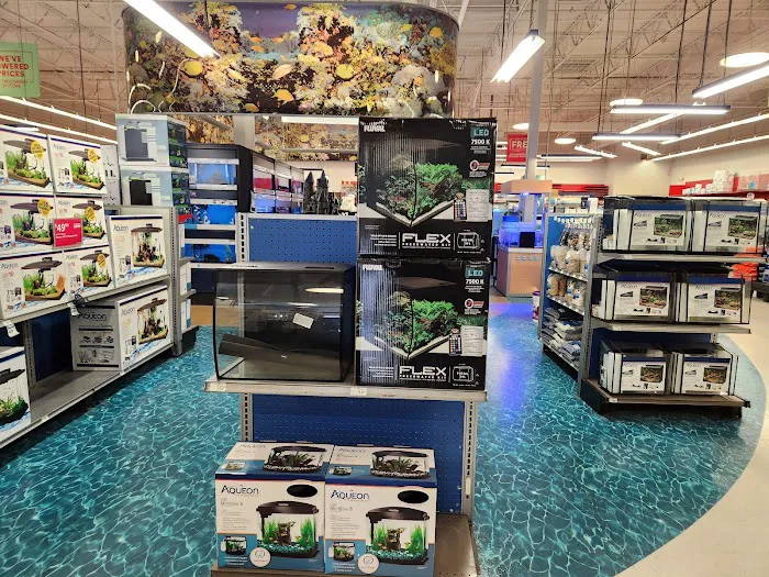 Petco Picture 7