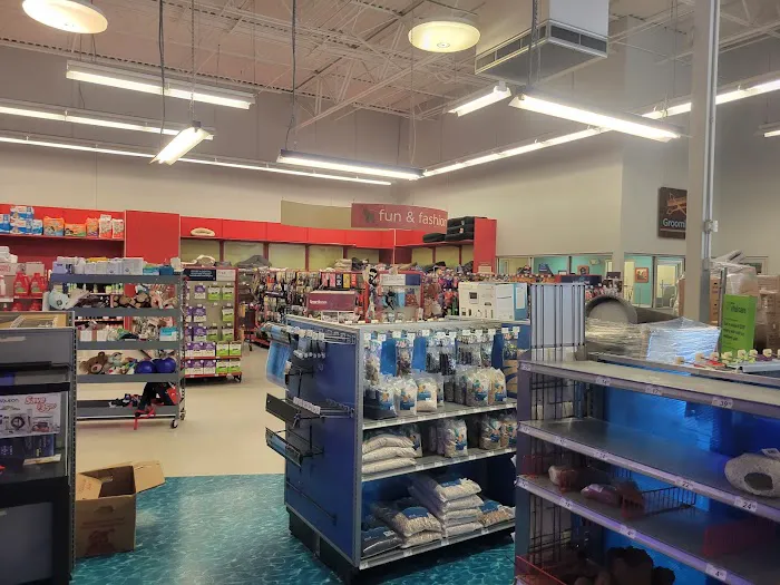 Petco Picture 2