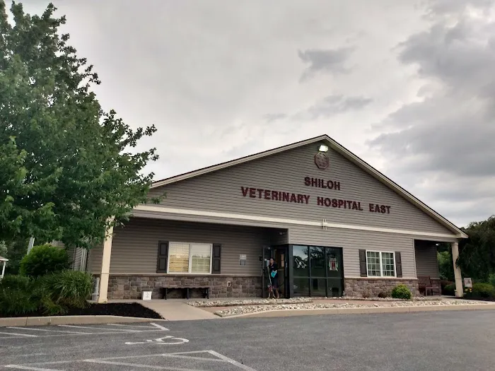 Shiloh Veterinary Hospital - East Picture 2
