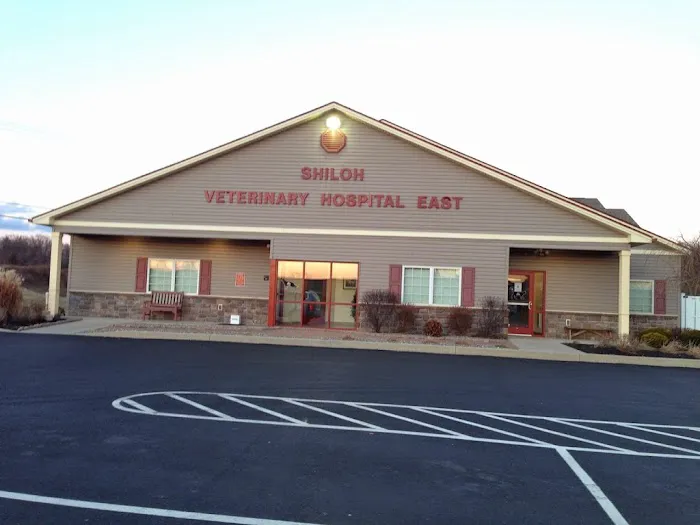 Shiloh Veterinary Hospital - East Picture 7