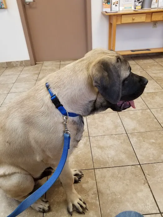 Shiloh Veterinary Hospital - East Picture 5