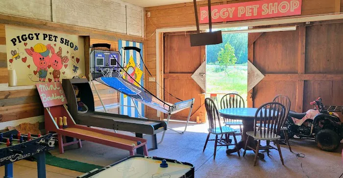Piggy Pet Shop Picture 10