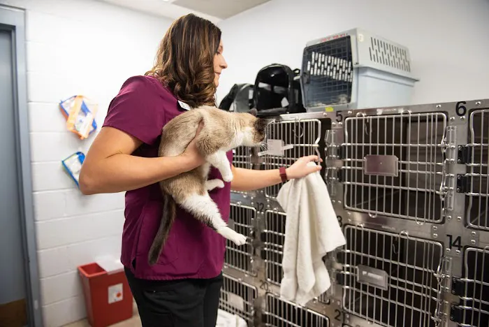 Spay/Neuter Clinic - York County SPCA Picture 2
