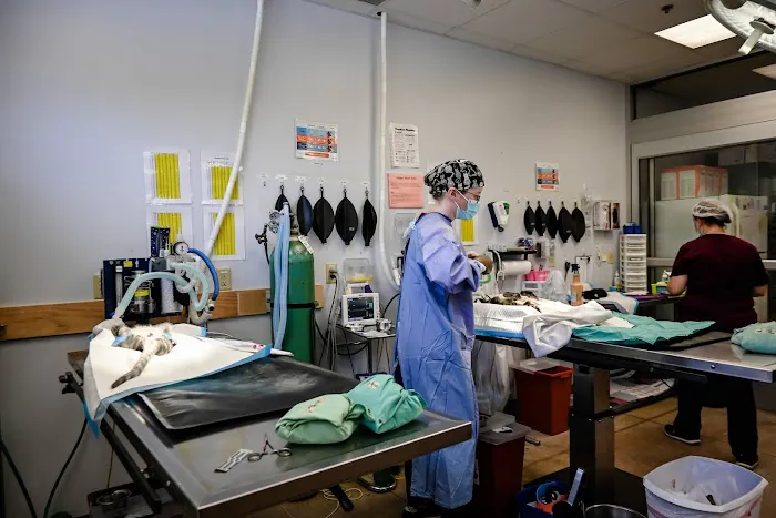 Spay/Neuter Clinic - York County SPCA Picture 1
