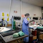 Spay/Neuter Clinic - York County SPCA