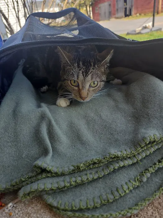 Spay/Neuter Clinic - York County SPCA Picture 8