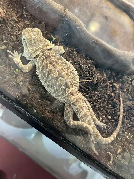 A Pet U Bet Picture 5