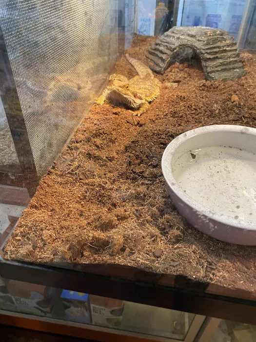 A Pet U Bet Picture 2