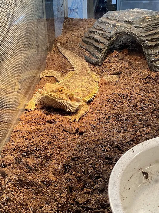A Pet U Bet Picture 3