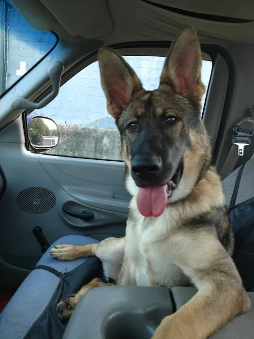 A Pet U Bet Picture 7