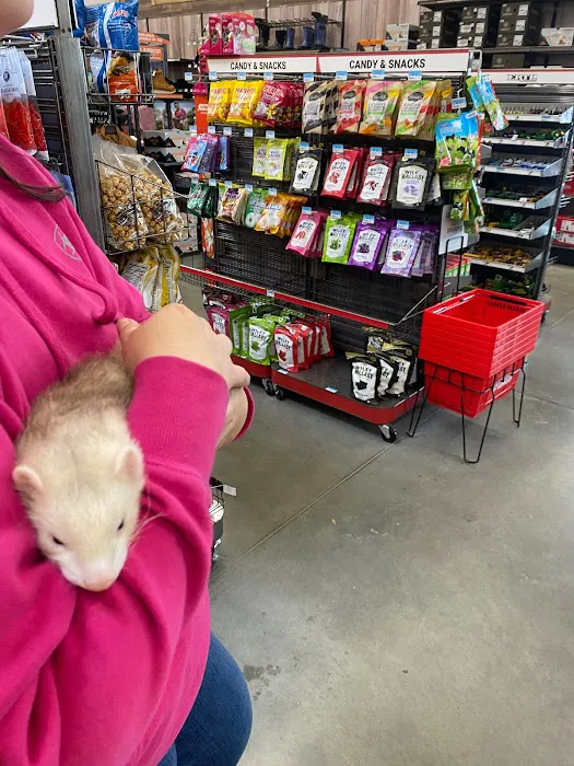 K-BAM FARMS PET STORE UNION SC Picture 8