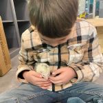 K-BAM FARMS PET STORE UNION SC