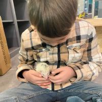 K-BAM FARMS PET STORE UNION SC ico