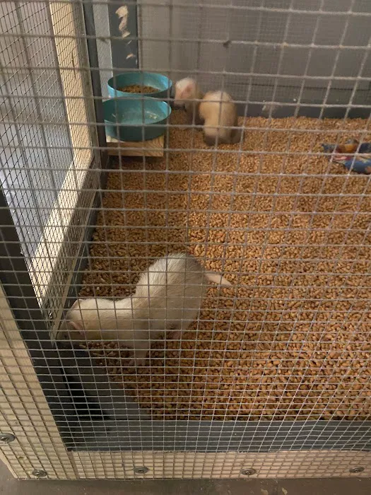 K-BAM FARMS PET STORE UNION SC Picture 5