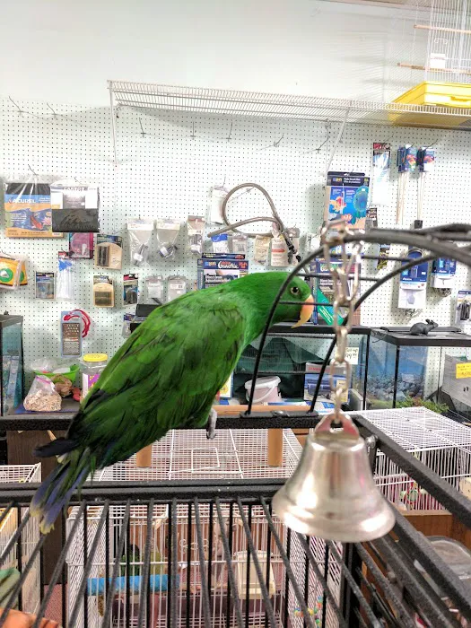Leapin Lizards Pet Shop Picture 2