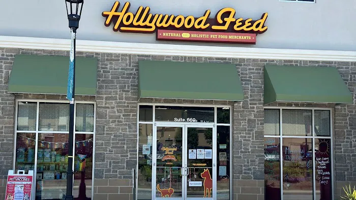 Hollywood Feed Picture 1