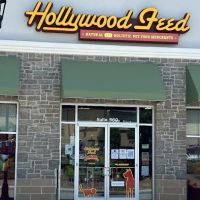 Hollywood Feed ico