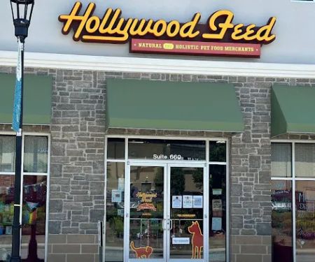 Hollywood Feed