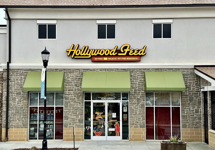 Hollywood Feed Picture 2