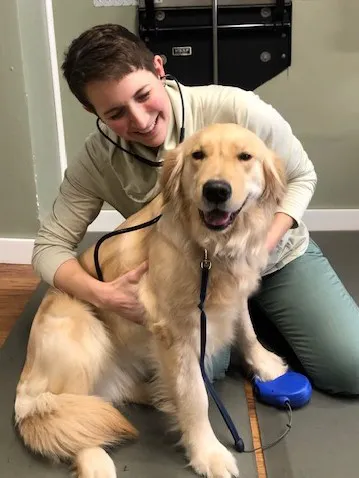 Derry Animal Hospital Picture 3