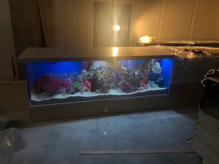 Big Fish Custom Acrylic Aquariums Picture 1