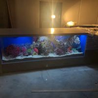 Big Fish Custom Acrylic Aquariums ico