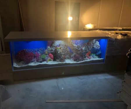 Big Fish Custom Acrylic Aquariums