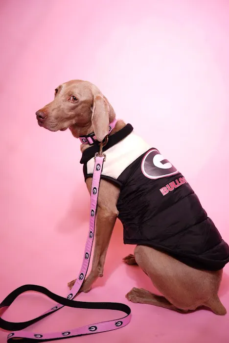 Bark Avenue Boutique Picture 4