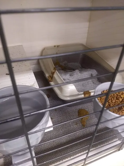Petco Picture 7