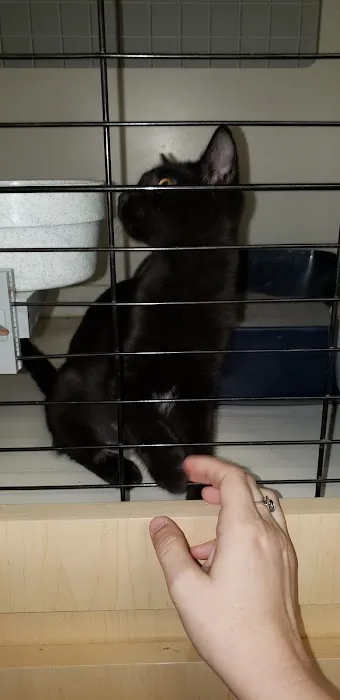 Petco Picture 2