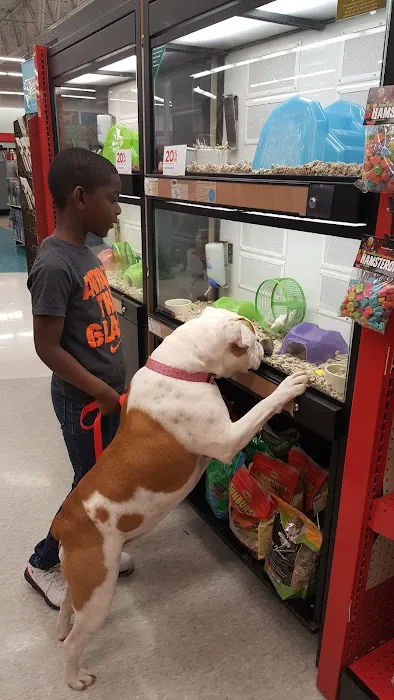 Petco Picture 8