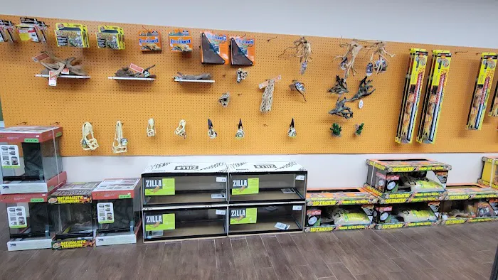 Pets and Supplies Picture 5