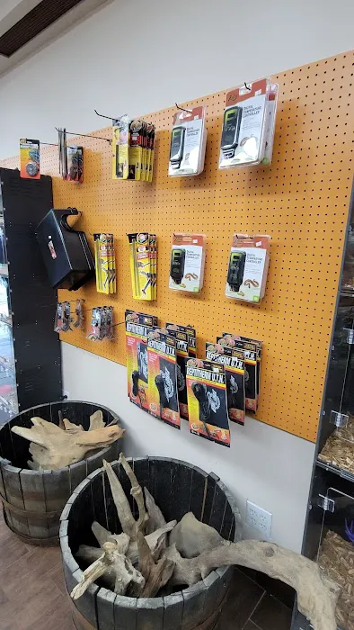 Pets and Supplies Picture 3