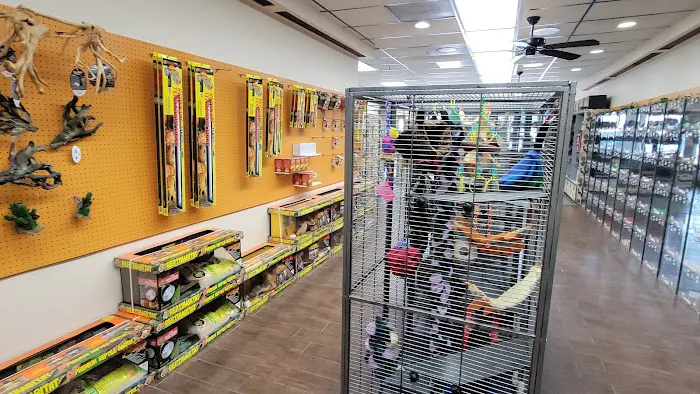 Pets and Supplies Picture 6