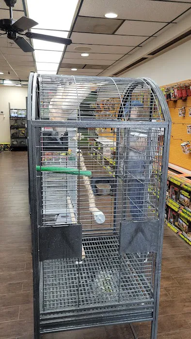 Pets and Supplies Picture 8