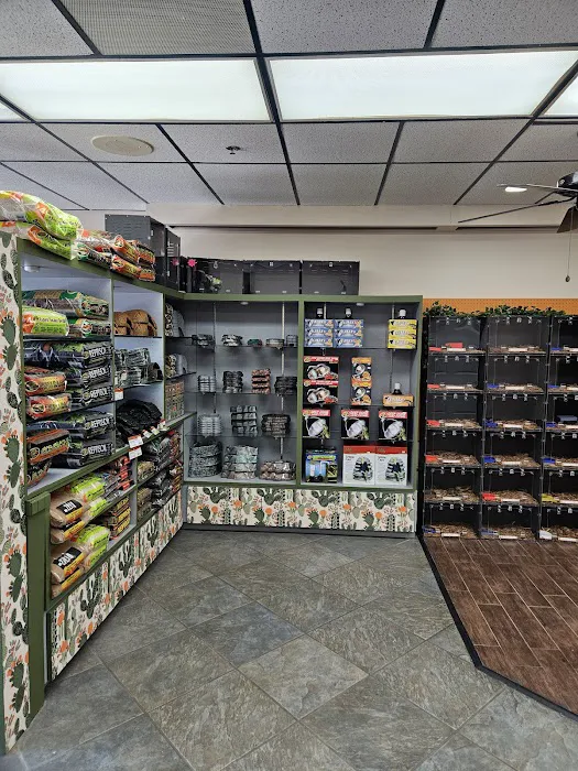Pets and Supplies Picture 9