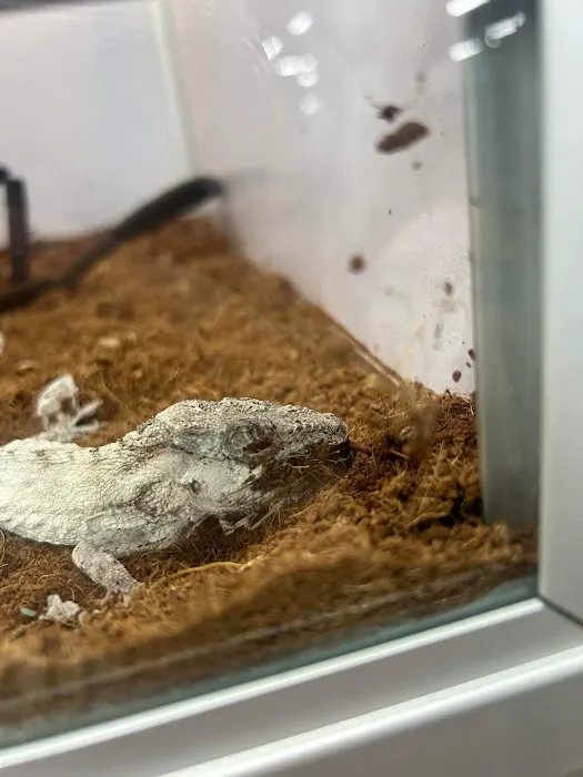 Pet Supermarket Picture 5