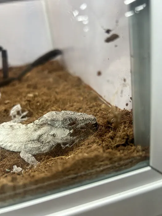 Pet Supermarket Picture 4