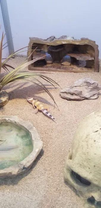 Pet Supermarket Picture 3