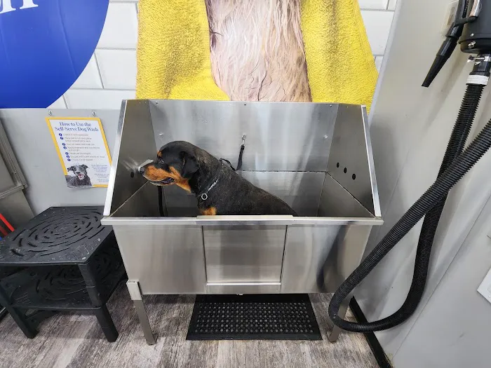 Pet Supermarket Picture 6