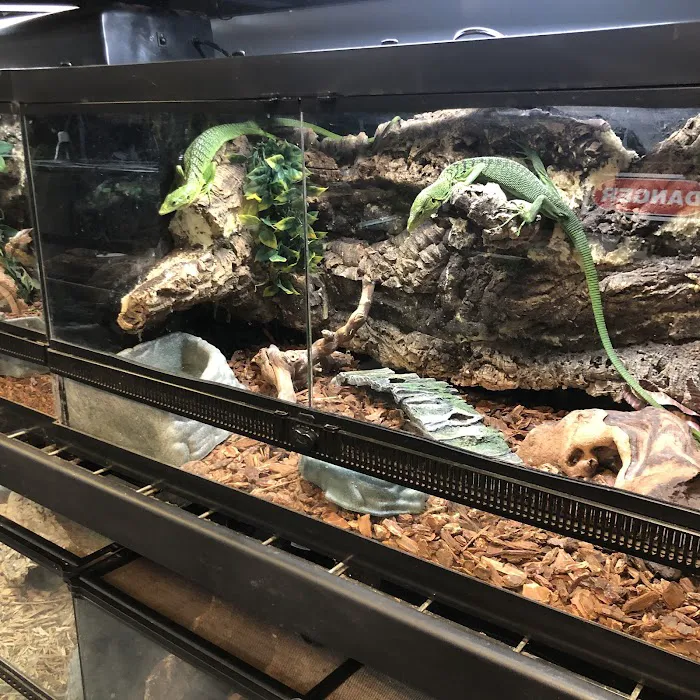 Land And Sea Exotic Pets Picture 4