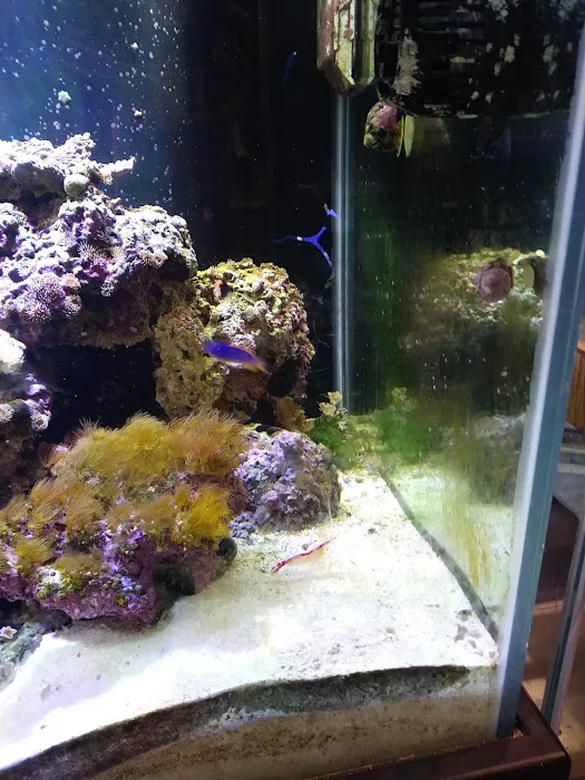 Fish Bowl & More Picture 9