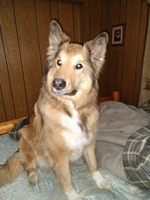 Sunbury Animal Hospital Picture 9
