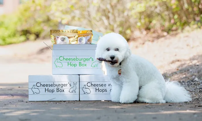 Cheeseburger's Hop Box Picture 2