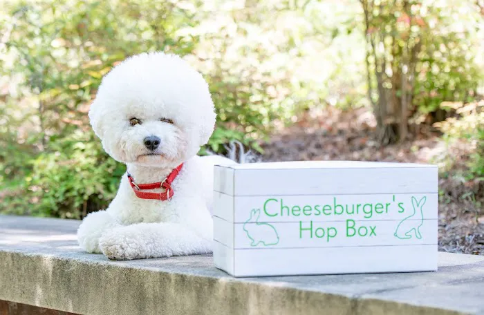 Cheeseburger's Hop Box Picture 8