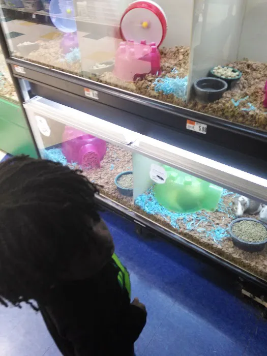Pet Supplies Plus Carrollton Picture 2