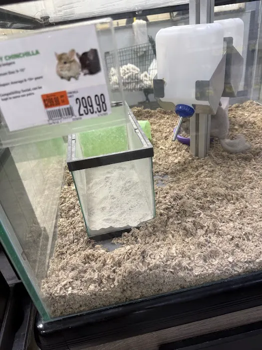 Pet Supplies Plus Carrollton Picture 9