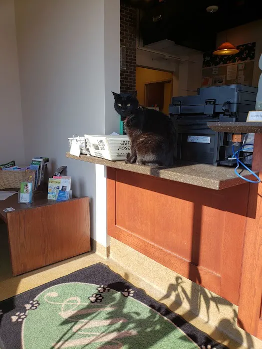 Alpine Animal Clinic Picture 7