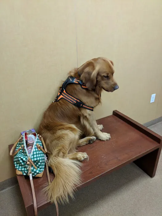 Alpine Animal Clinic Picture 4